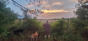[River, Honeybun, Blondie, Gretchen, Lucky Peggy's north field, and the sky]