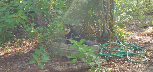 [River in her bathtub]