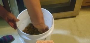 [Stir sugar water into grape husks, 2025-09-09 --Okra Paradise Farms]
