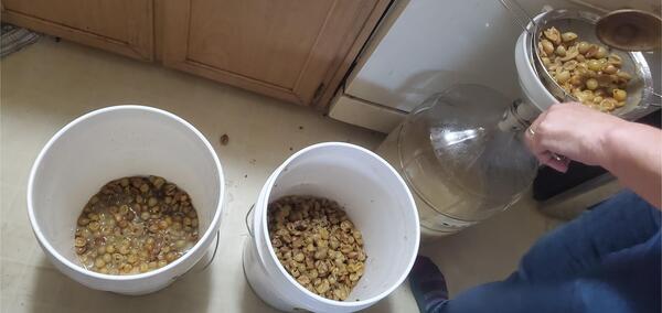 [Strainer and funnel]