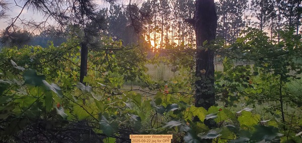 [Sunrise over Woodhenge, 2025-09-22 jsq for OPF]