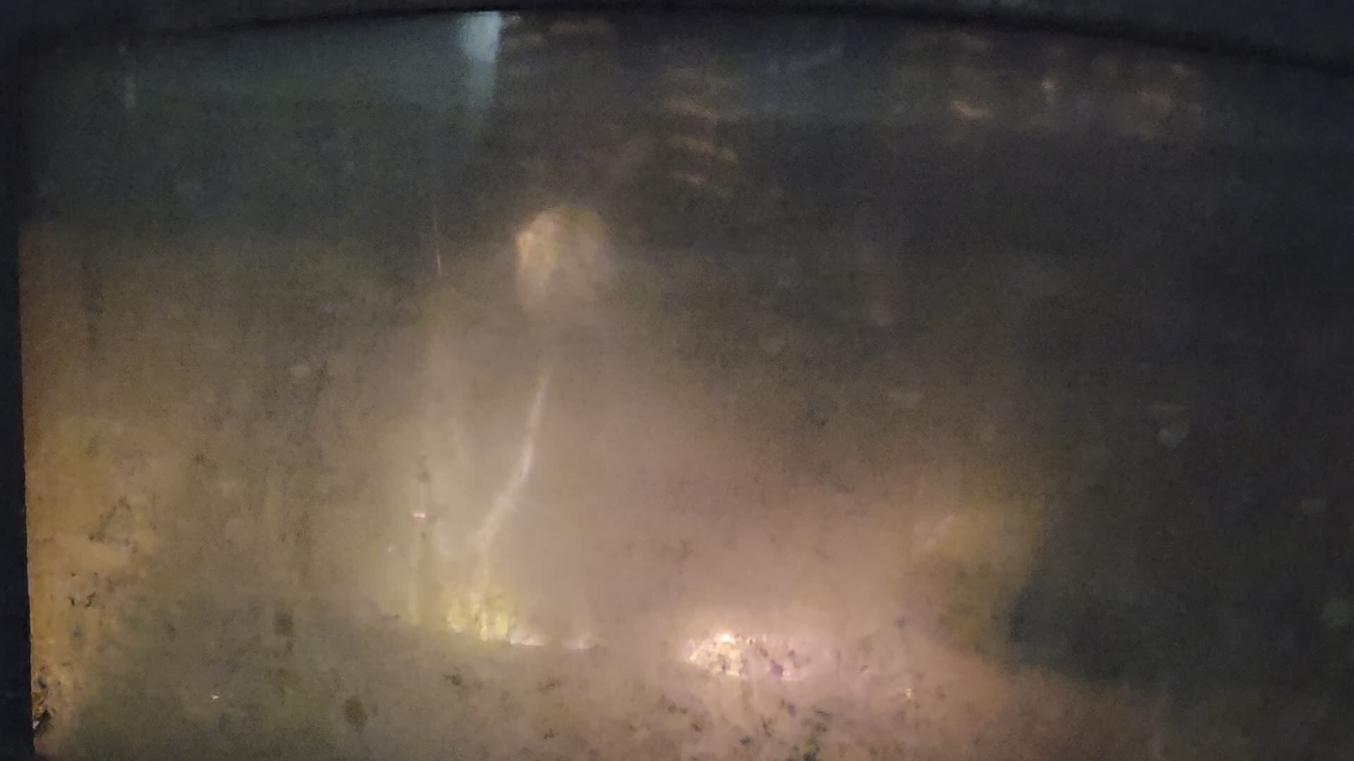 Movie: Fire in wood stove (8.2M)