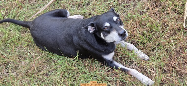 River, 2025-11-09 --jsq for OPF