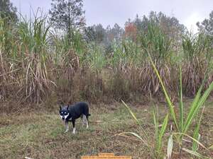 [River helping, 2025-11-09 --Gretchen Quarterman for OPF]