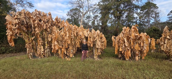 [Gretchen with her banana plants]