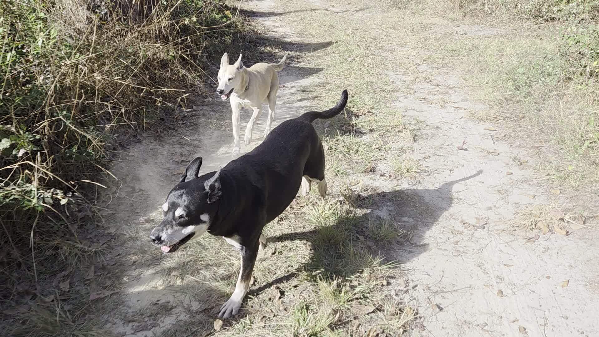 Movie: River and Sky (8.7M)