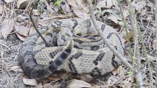 [Movie: Closeup (13M)]