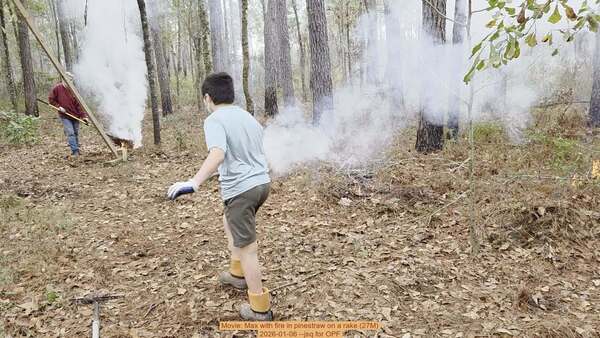 [Movie: Max with fire in pinestraw on a rake (27M), 2026-01-06, 5-acre prescribed burn --jsq for OPF]