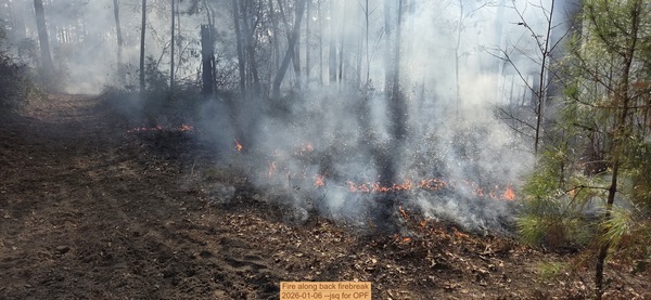 [Fire along back firebreak, 2026-01-06, 5-acre prescribed burn --jsq for OPF]
