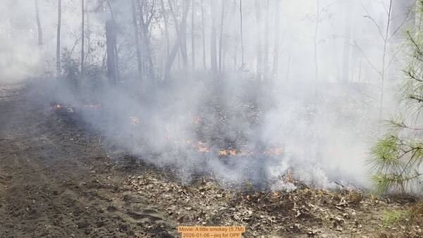 [Movie: A little smokey (5.7M), 2026-01-06, 5-acre prescribed burn --jsq for OPF]