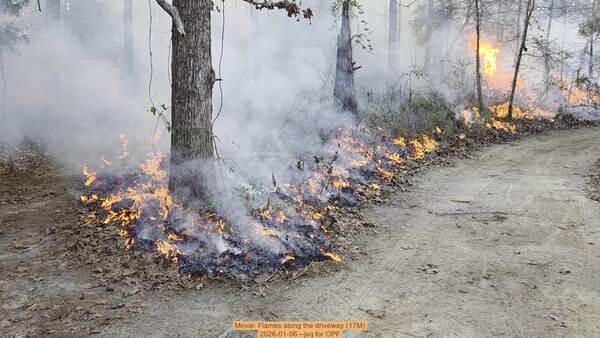 [Movie: Flames along the driveway (17M), 2026-01-06, 5-acre prescribed burn --jsq for OPF]