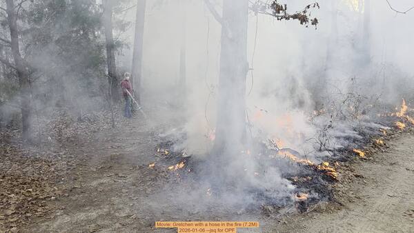 [Movie: Gretchen with a hose in the fire (7.2M), 2026-01-06, 5-acre prescribed burn --jsq for OPF]