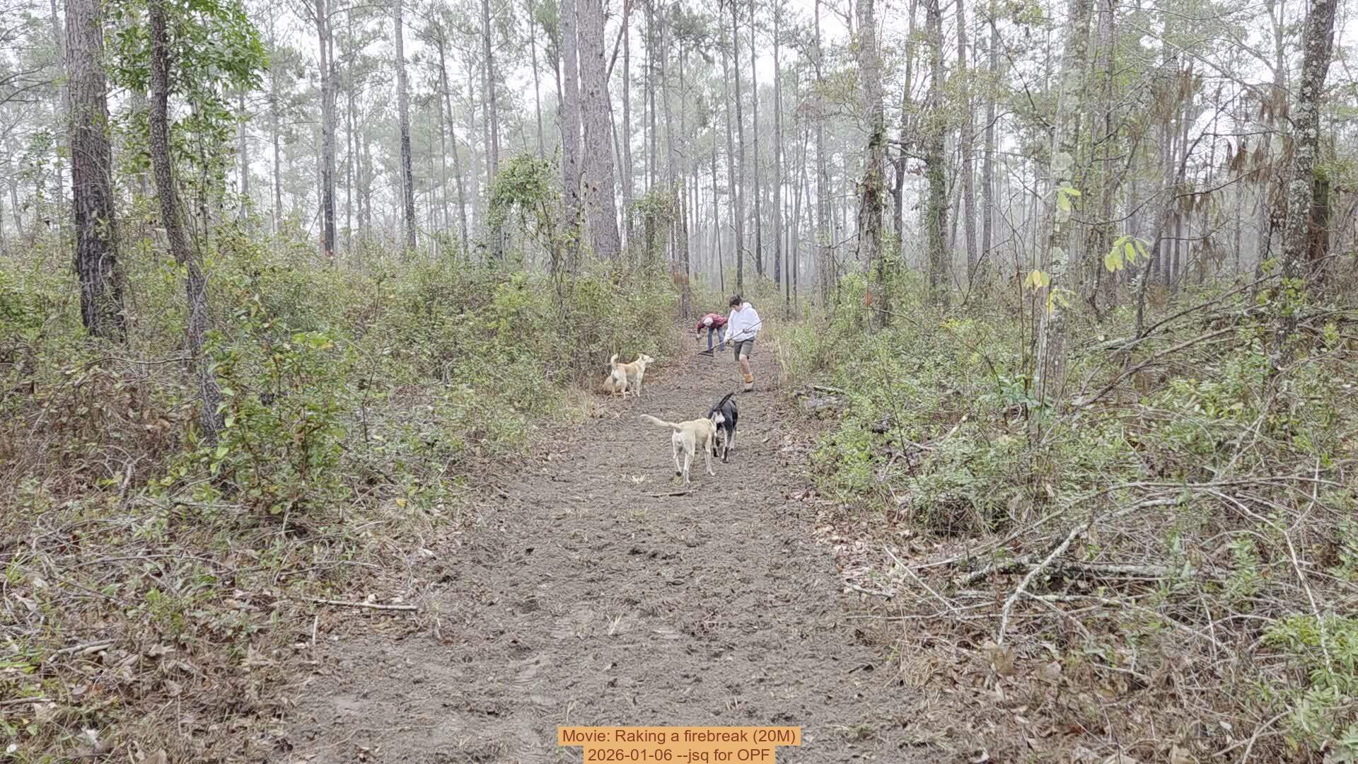 Movie: Raking a firebreak (20M), 2026-01-06, 5-acre prescribed burn --jsq for OPF