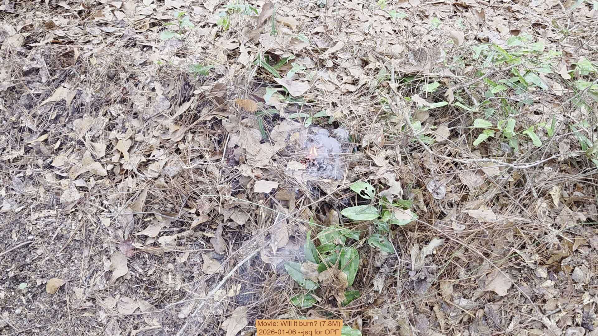 Movie: Will it burn? (7.8M), 2026-01-06, 5-acre prescribed burn --jsq for OPF
