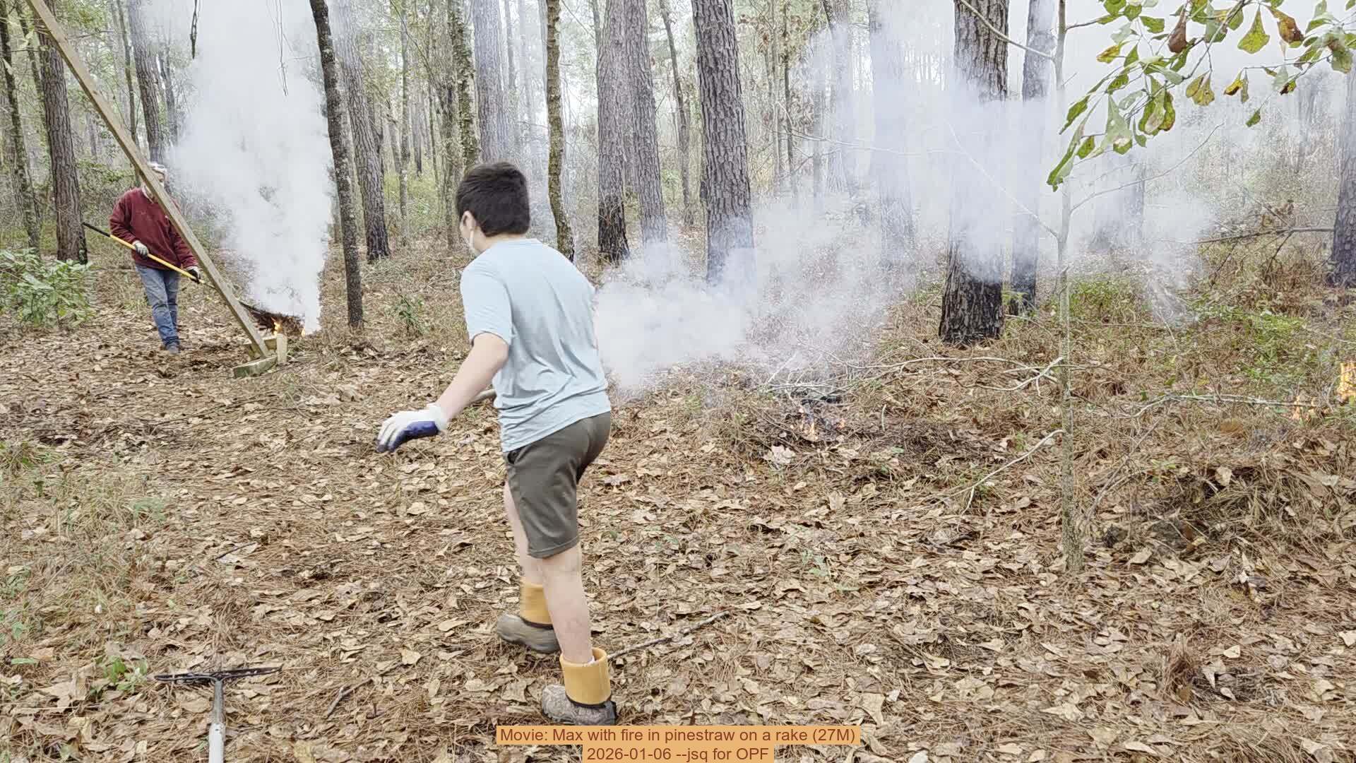 Movie: Max with fire in pinestraw on a rake (27M), 2026-01-06, 5-acre prescribed burn --jsq for OPF