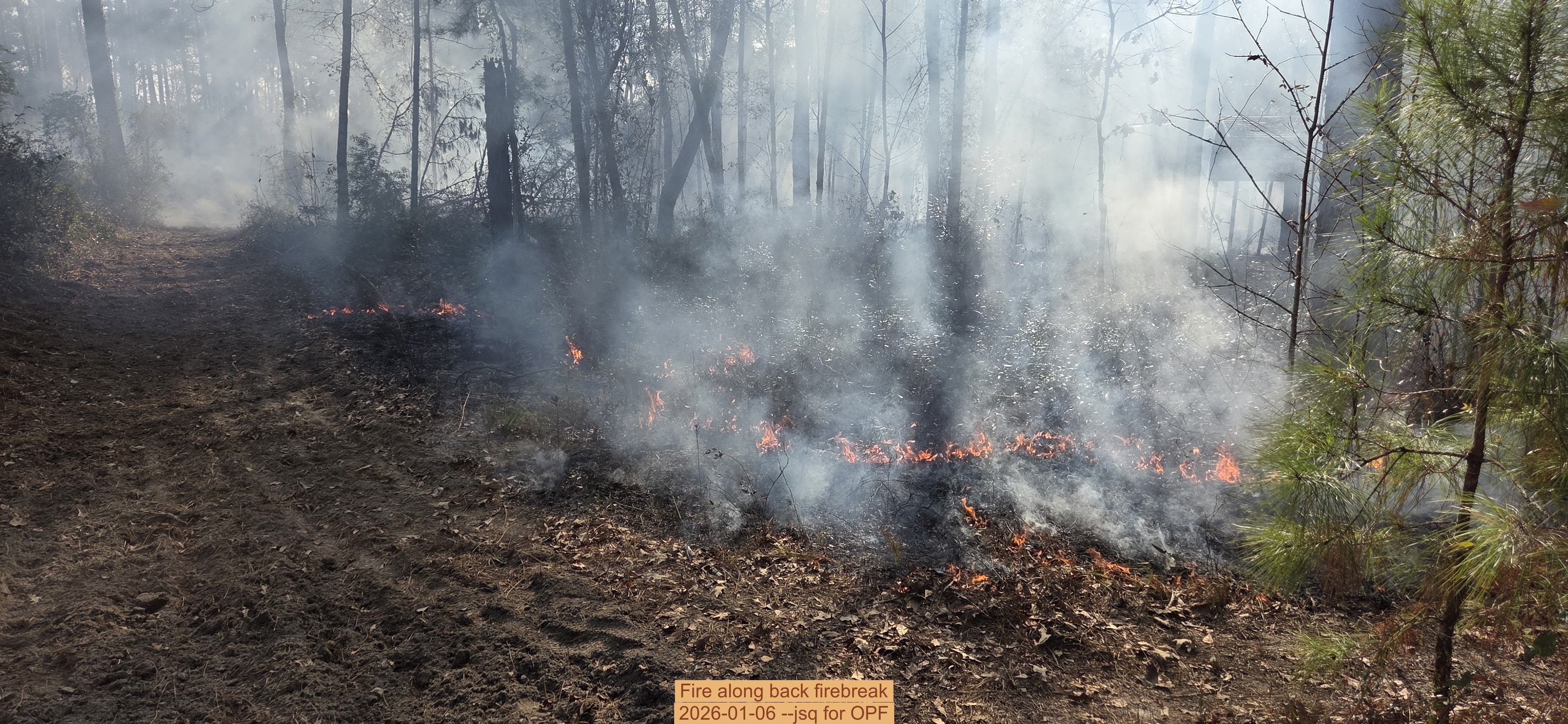 Fire along back firebreak, 2026-01-06, 5-acre prescribed burn --jsq for OPF