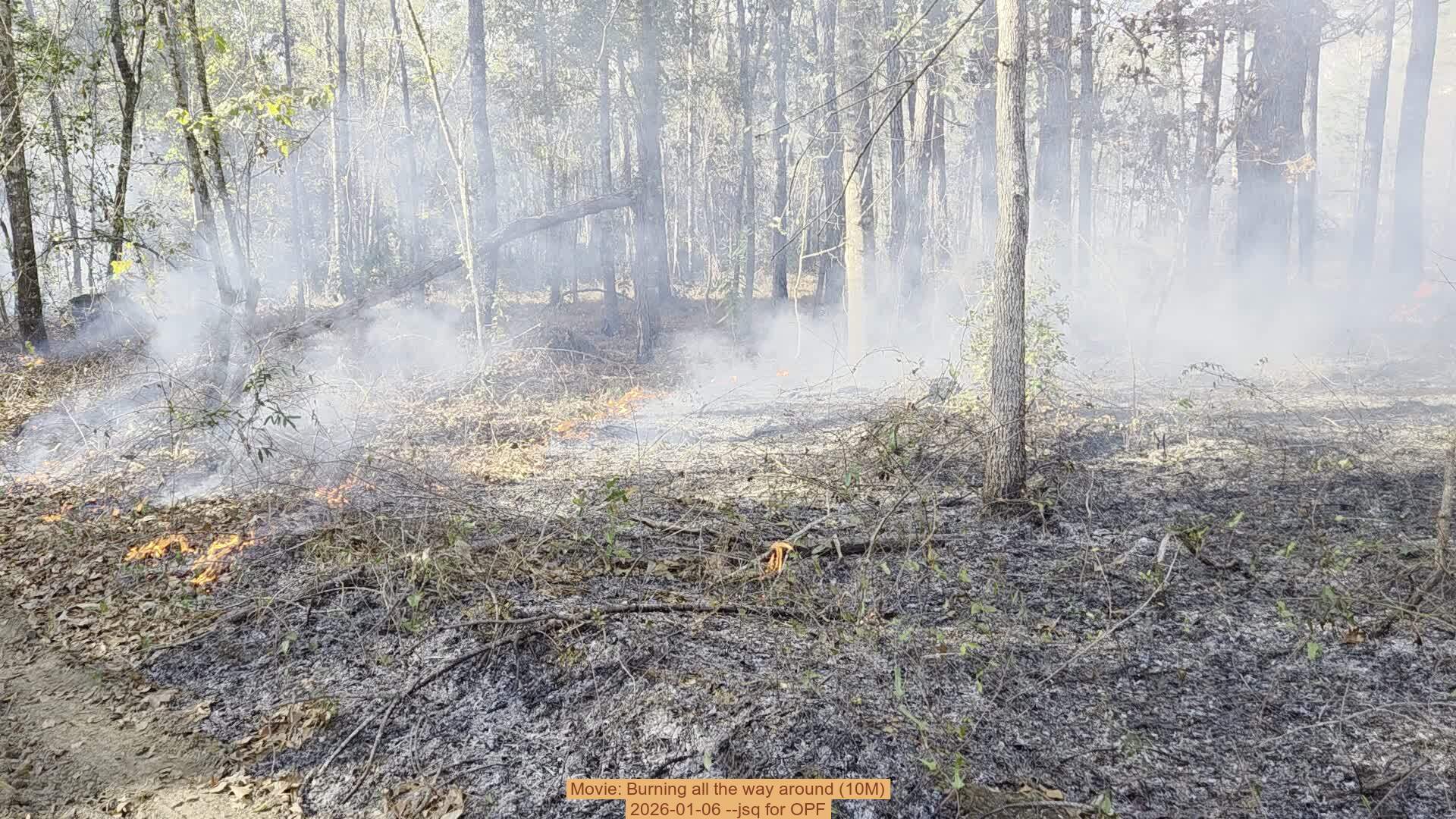 Movie: Burning all the way around (10M), 2026-01-06, 5-acre prescribed burn --jsq for OPF