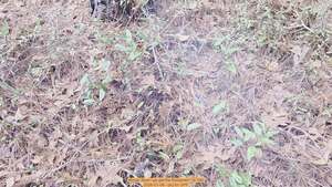 [Movie: Must I go get the firestarter? (8.1M), 2026-01-06, 5-acre prescribed burn --jsq for OPF]