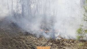 [Movie: A little smokey (5.7M), 2026-01-06, 5-acre prescribed burn --jsq for OPF]