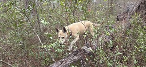 [Thank you very much, says Sky]