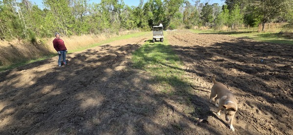 [Sugarcane planted, with Gretchen and Blondie]