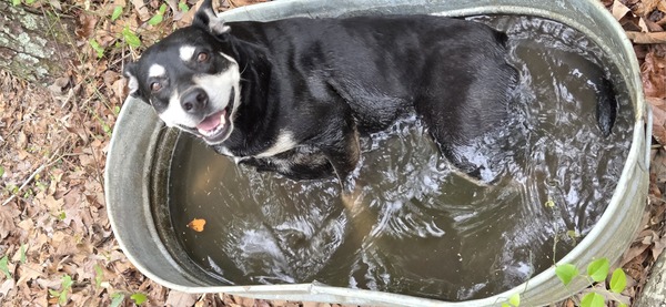 [River in her bathtub]