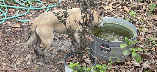 [Sky still wearing mud boots]