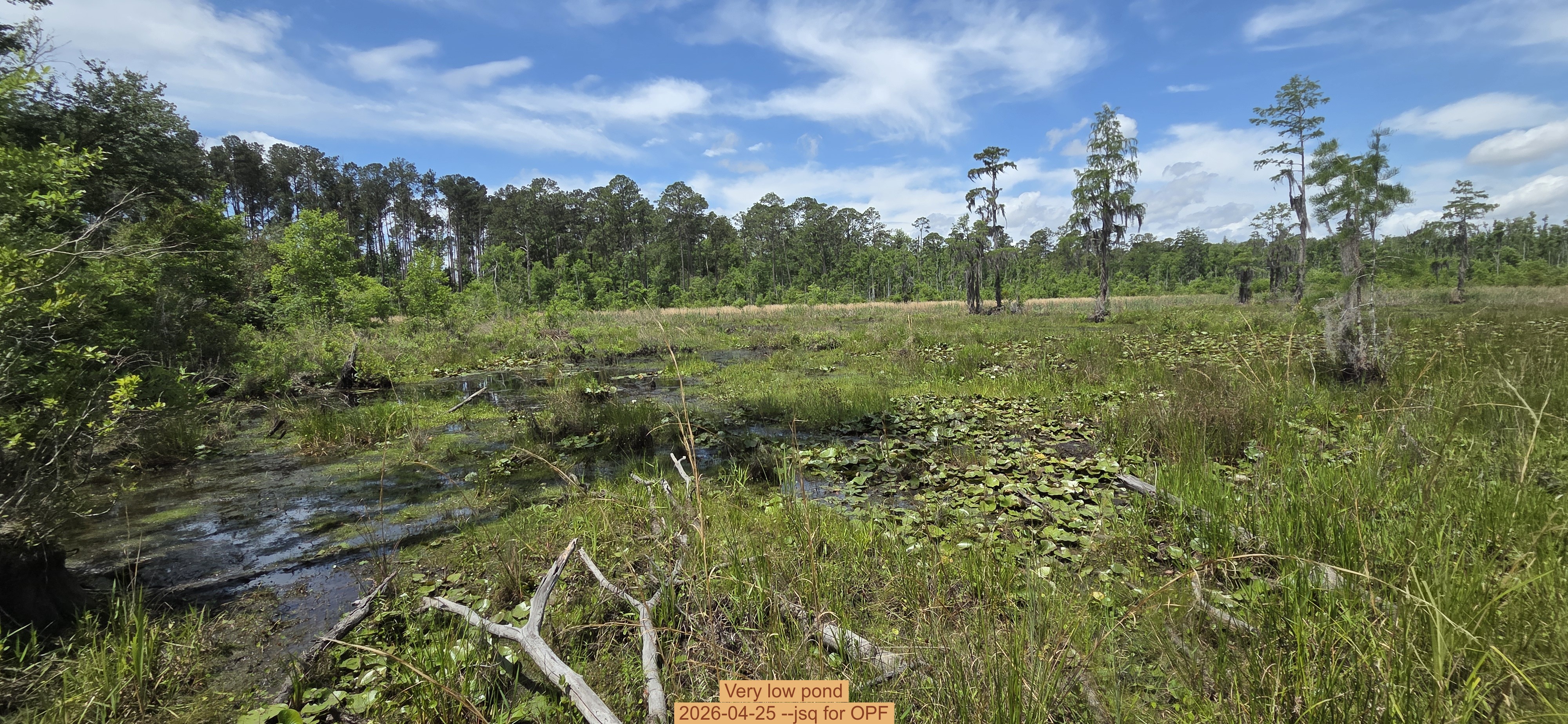 Very low pond, 2026-04-25 --jsq for OPF