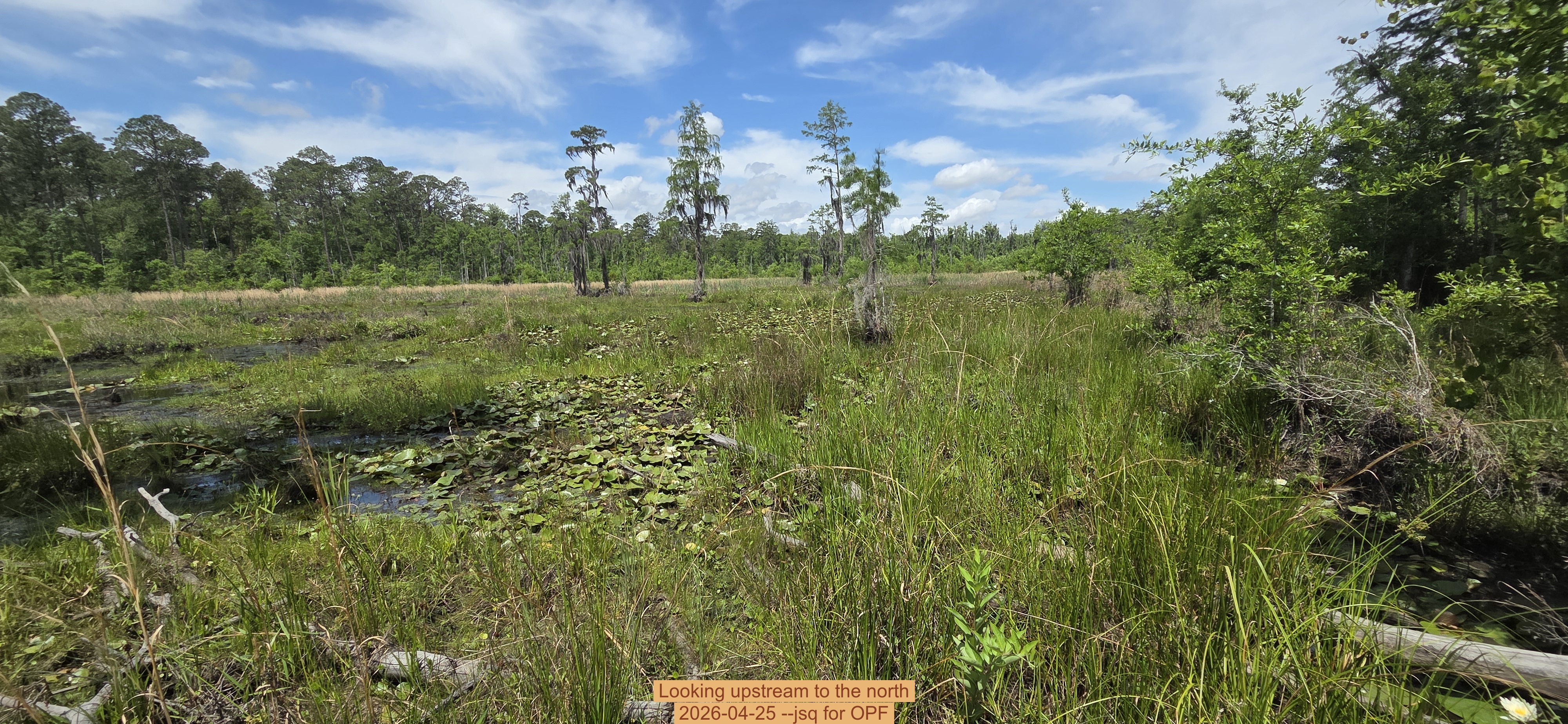 Looking upstream to the north, 2026-04-25 --jsq for OPF