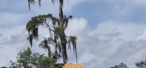 [Middle of heron tree, 2026-04-25 --jsq for OPF]