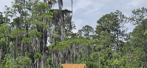 [Lower branches of heron tree, 2026-04-25 --jsq for OPF]