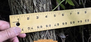 [5 inch Very bent, 2026:05:08 11:36:52, 31.0095516, -83.2749615]