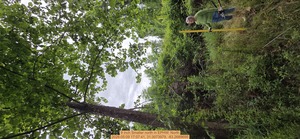 [9 inch Smaller north, 2026:05:09 17:07:41, 31.0073979, -83.2689695]
