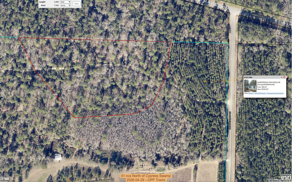 [01 ncs North of Cypress Swamp, 2026-04-29 --OPF Tracts]