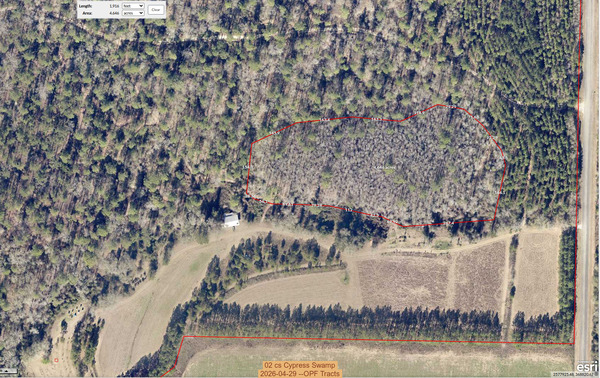02 cs Cypress Swamp, 2026-04-29 --OPF Tracts