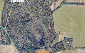 [09 ephw East Pond Hardwoods, 2026-04-29 --OPF Tracts]