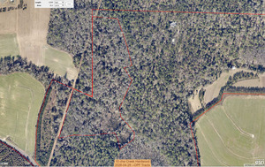 [10 chw Creek Hardwood, 2026-04-29 --OPF Tracts]