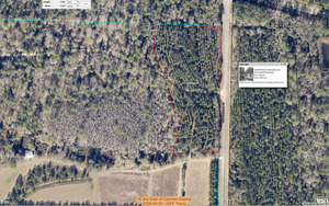 [16 ecs East of Cypress Swamp, 2026-04-29 --OPF Tracts]