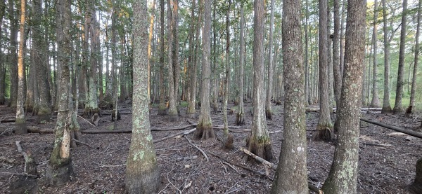[Looking west]