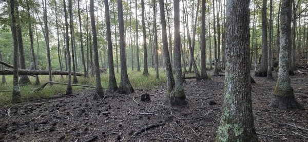 [Looking east]