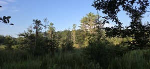 [Another view]