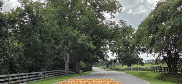 [Half Canopy on Coppage Road at Griffin Drive, 2026:08:08 10:40:10, 30.9885726, -83.3107703 --jsq for CRSG]