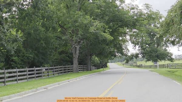 Movie: Half Canopy on Coppage Road at Griffin Drive, 2026:08:08 10:40:19, 30.9885726, -83.3107703 (26M) --jsq for CRSG