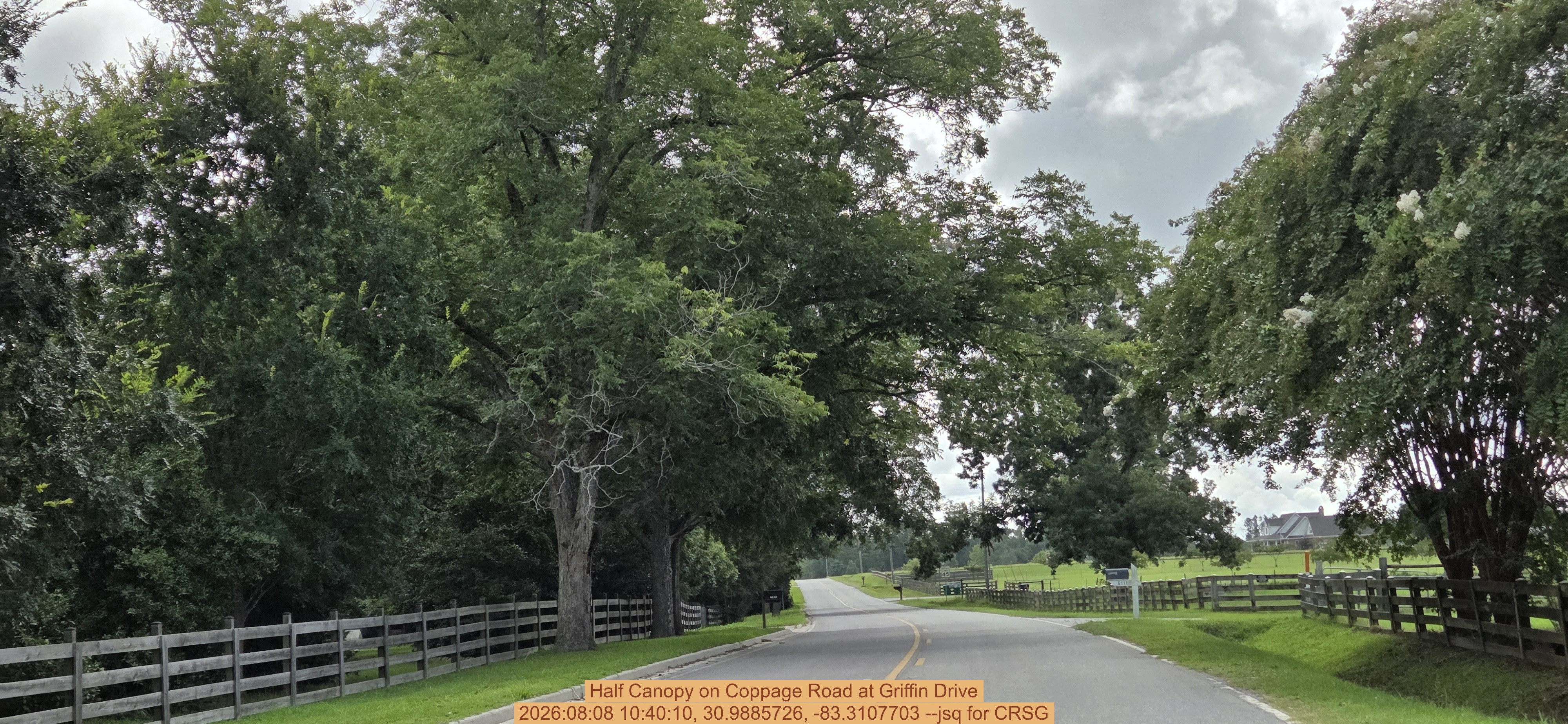 Half Canopy on Coppage Road at Griffin Drive, 2026:08:08 10:40:10, 30.9885726, -83.3107703 --jsq for CRSG