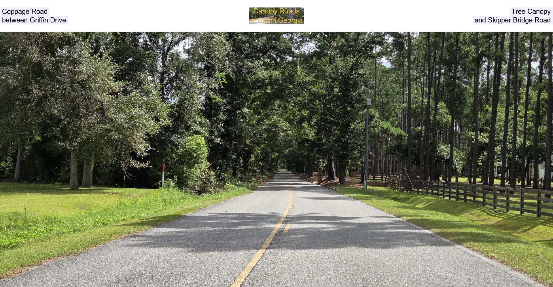 Coppage Road Tree Canopy, between Griffin Drive and Skipper Bridge Road
