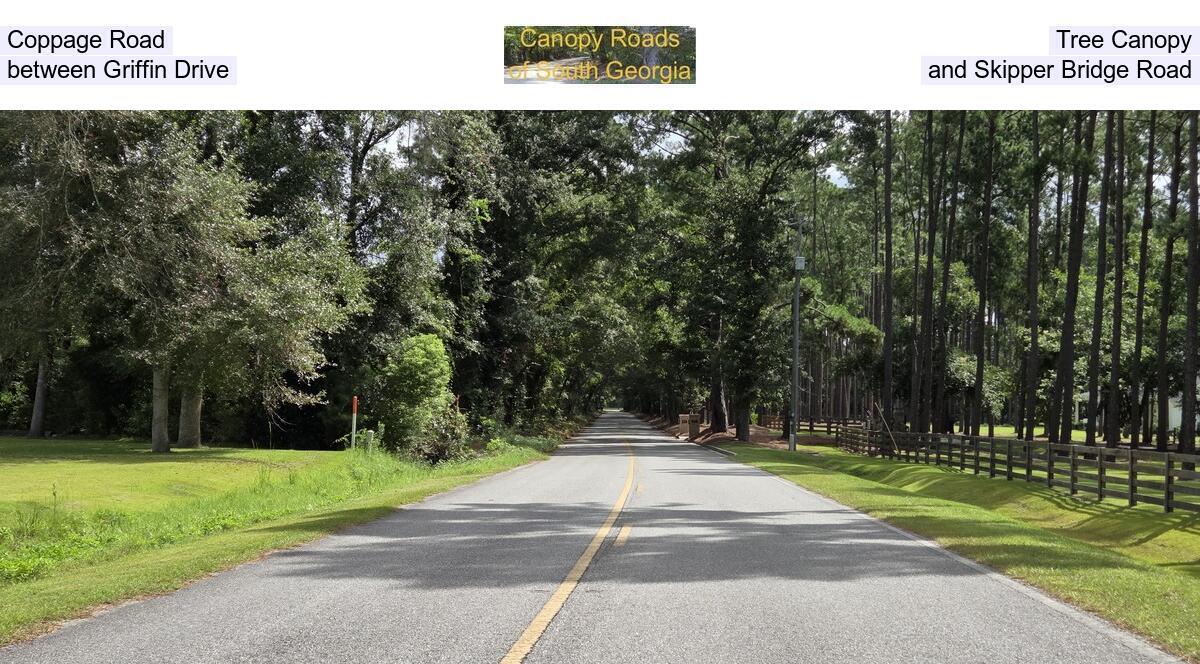 Coppage Road Tree Canopy, between Griffin Drive and Skipper Bridge Road