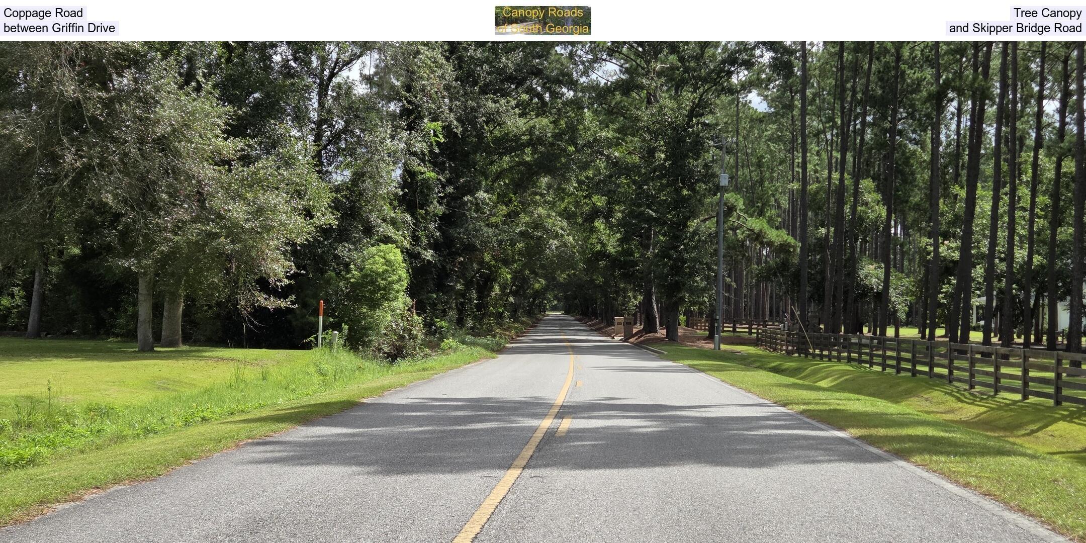 Coppage Road Tree Canopy, between Griffin Drive and Skipper Bridge Road