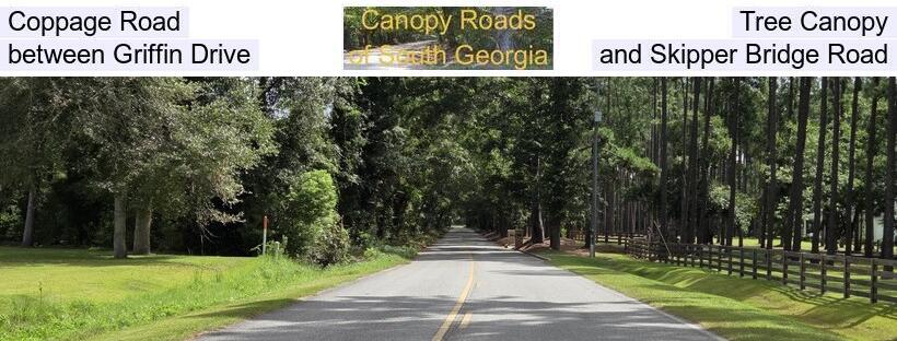 Coppage Road Tree Canopy, between Griffin Drive and Skipper Bridge Road