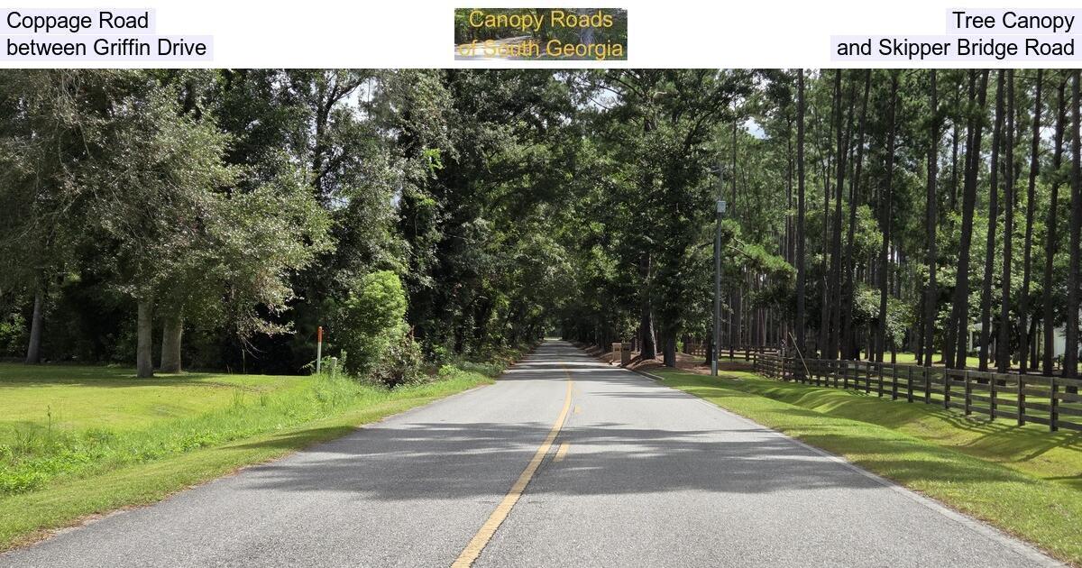 [Coppage Road Tree Canopy, between Griffin Drive and Skipper Bridge Road]