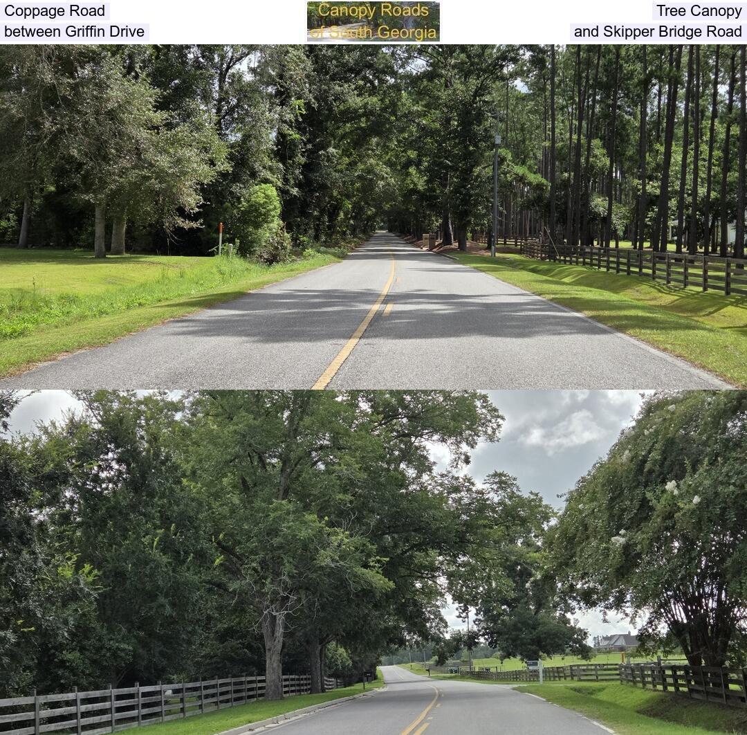 Coppage Road Tree Canopy, between Griffin Drive and Skipper Bridge Road
